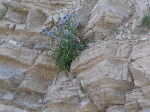 Rab-Maman trail-Rab Town必去景点