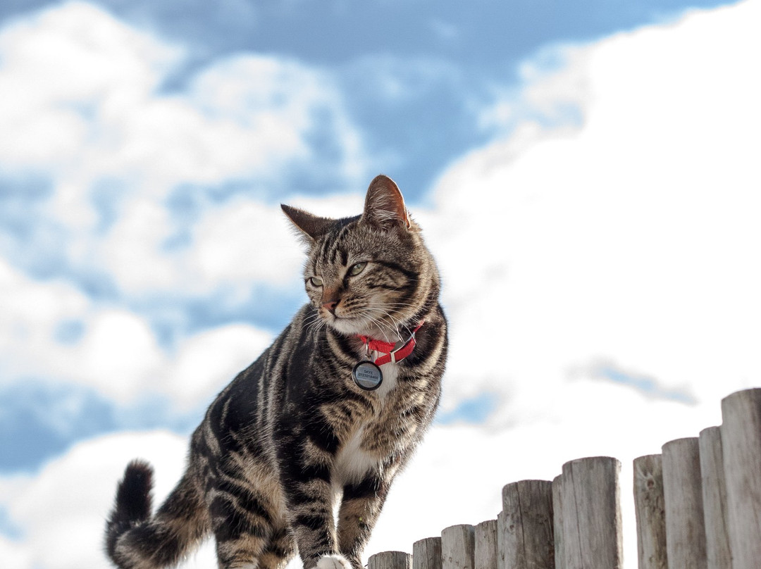 Blue Sky Guest House Arniston主图