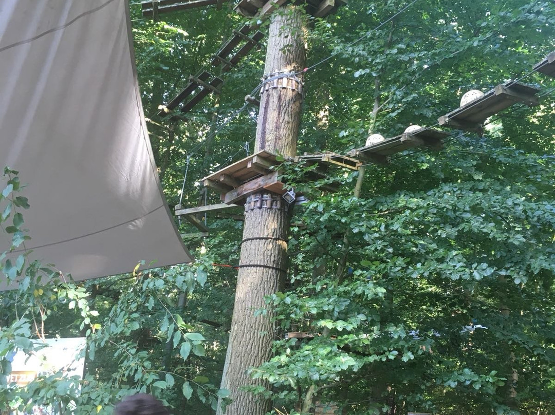 Kletterwald Wetzlar景点图片