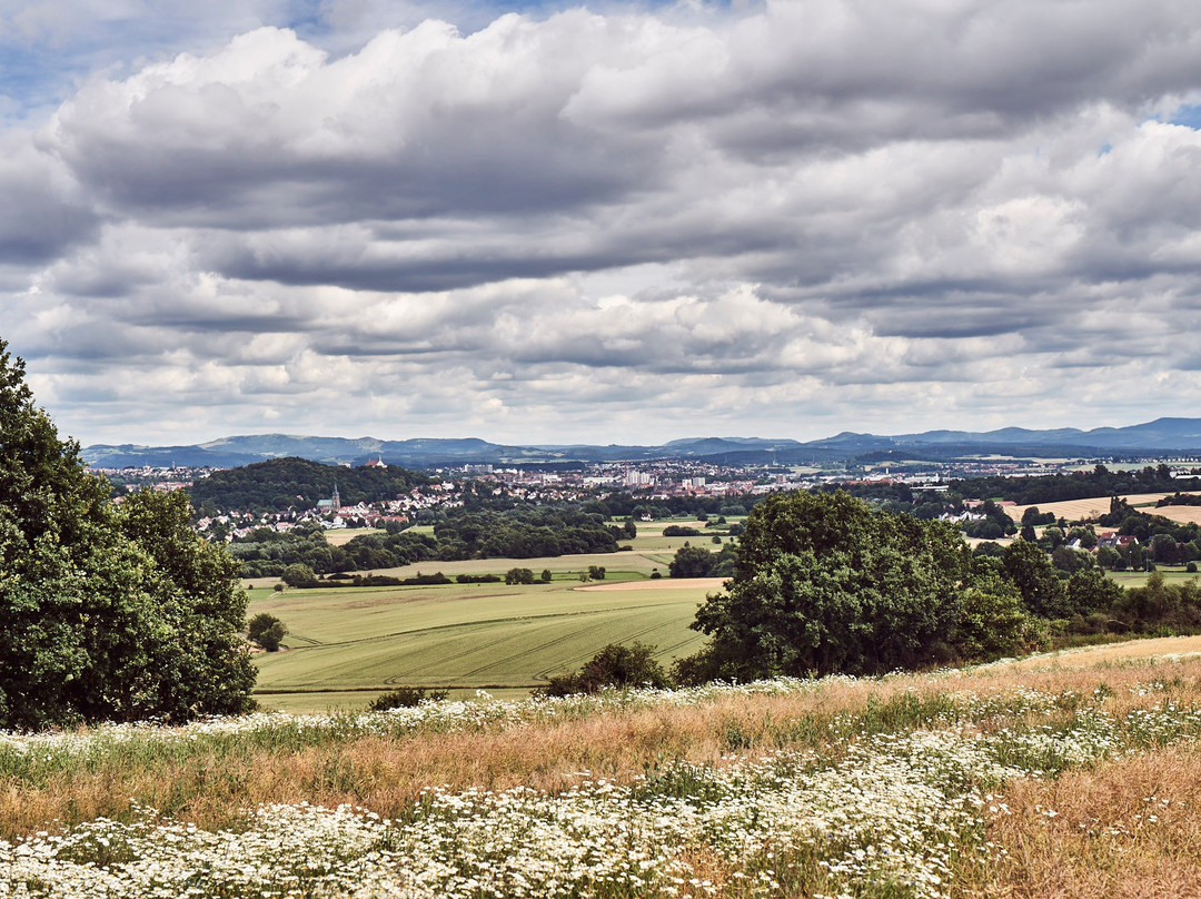 Das Landhotel Am Traetzhof主图
