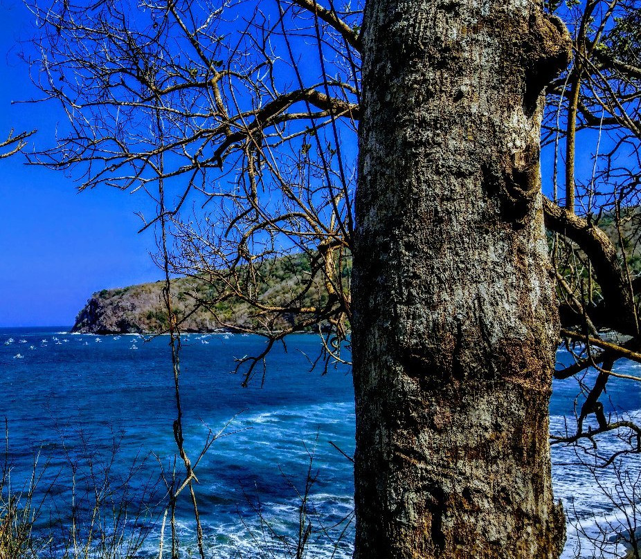 Grajagan Beach-巴纽旺宣必去景点