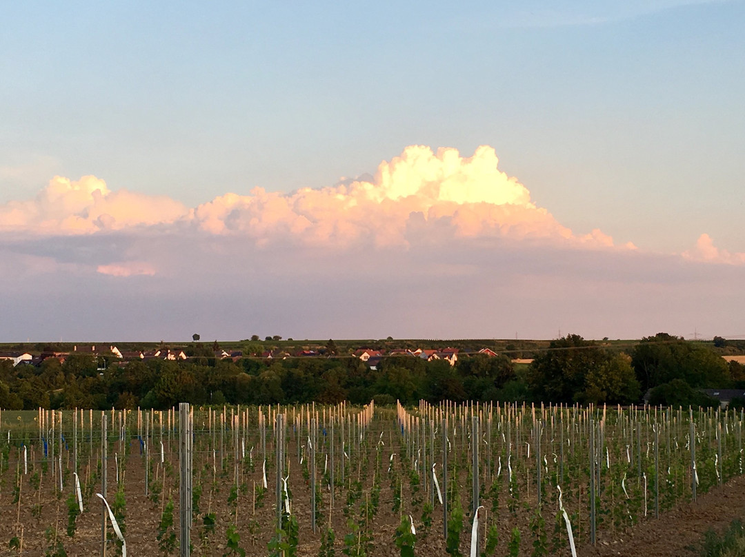 Landgut Schill主图