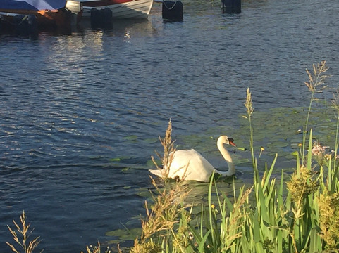 Kungsholms strandstig-斯德哥尔摩必去景点