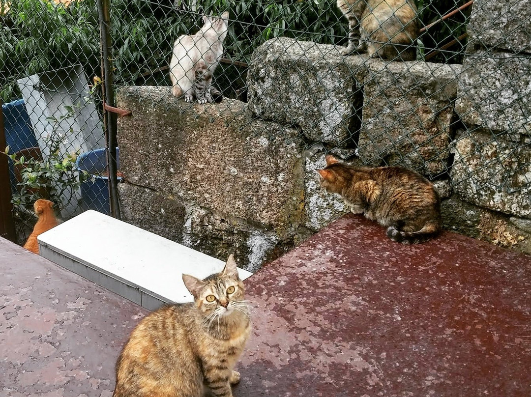 Casa do Juncal主图