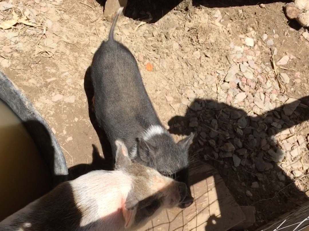 Jungle Experience Zoo-Granville必去景点