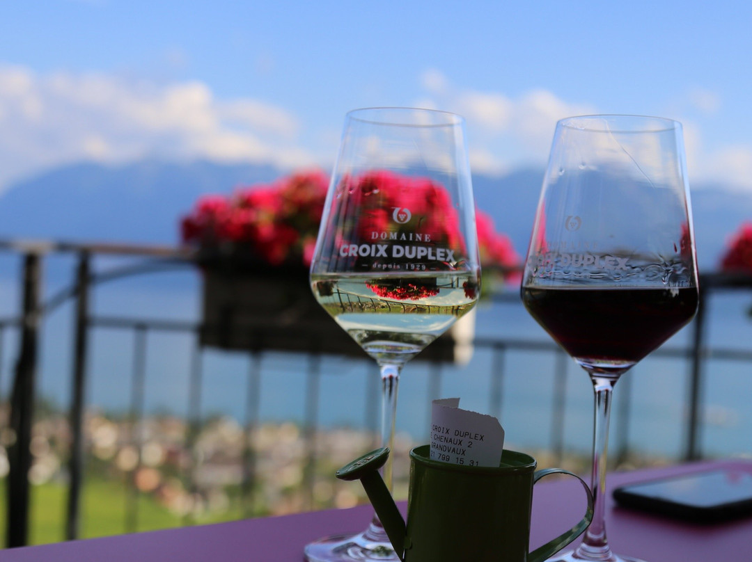 Domaine Croix Duplex-格朗沃必去景点