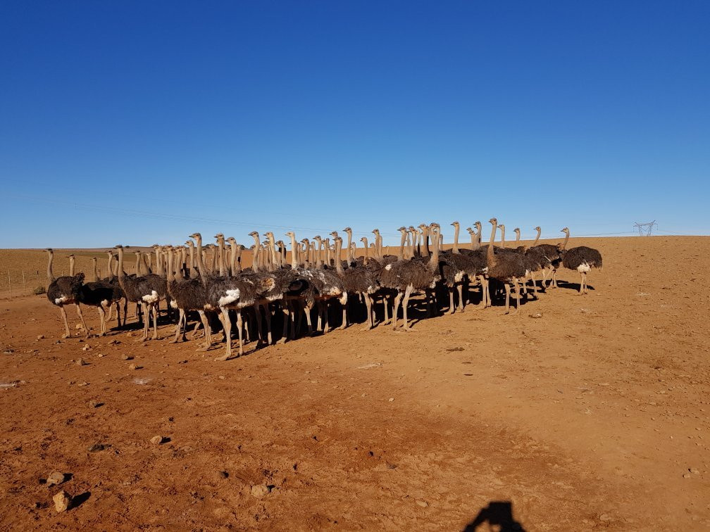 Skilpadgat Guest Farm主图