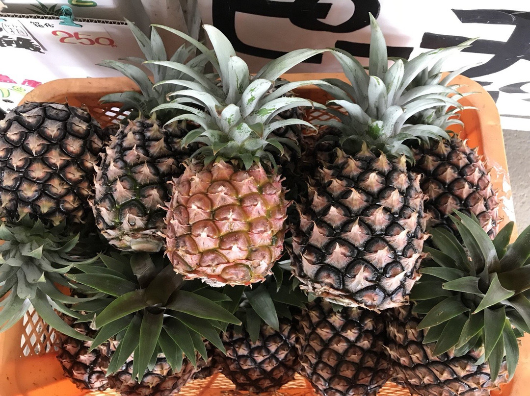 Ishigakijima Pineapple Club景点图片