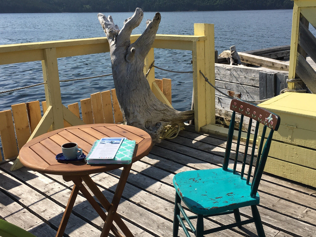 Galliott Studios-Bonne Bay必去景点