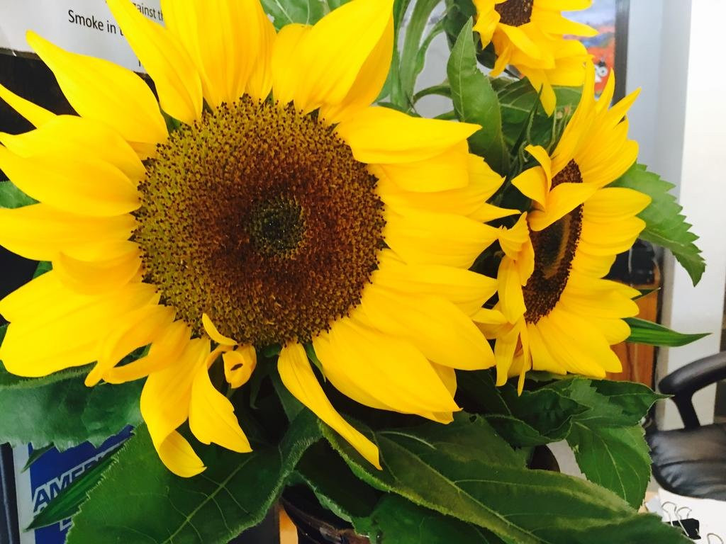 Rosedale酒店住宿-Gin Gin Village Motor Inn Motel