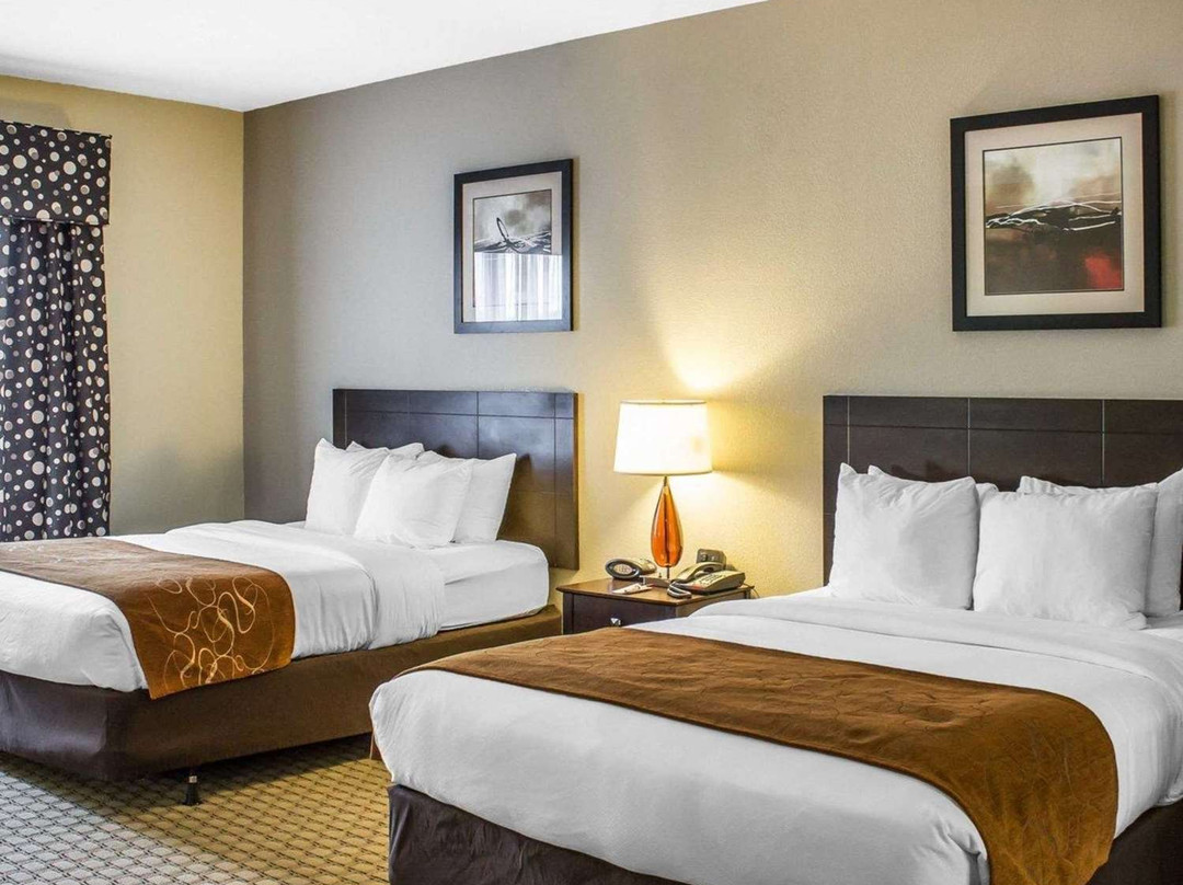 Comfort Suites Wilson - I - 95主图