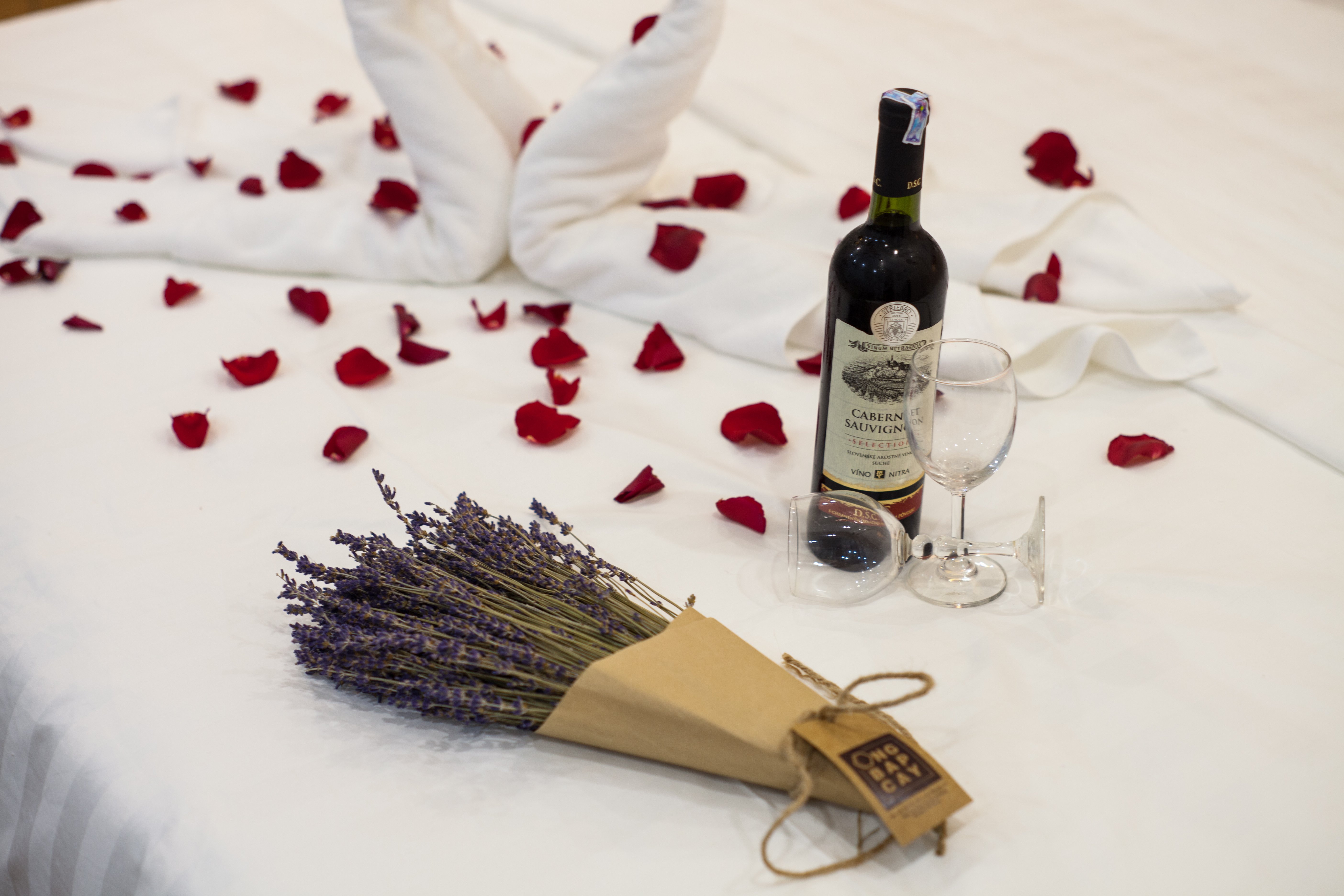 Lavender hotel apartment-官方