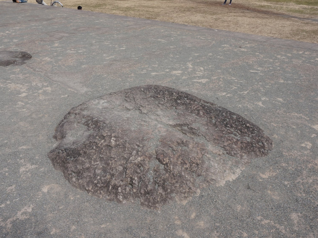 Remains of Sagami Kokubun-ji Temple景点图片