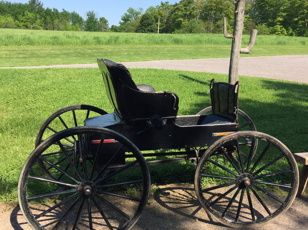 Escape Maze Incorporated-彼得伯勒必去景点