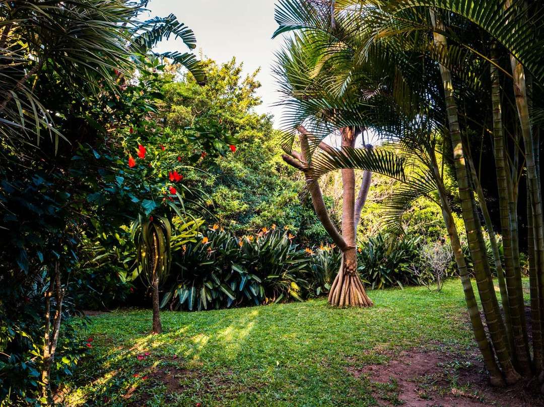 Bushbuck Lodge主图