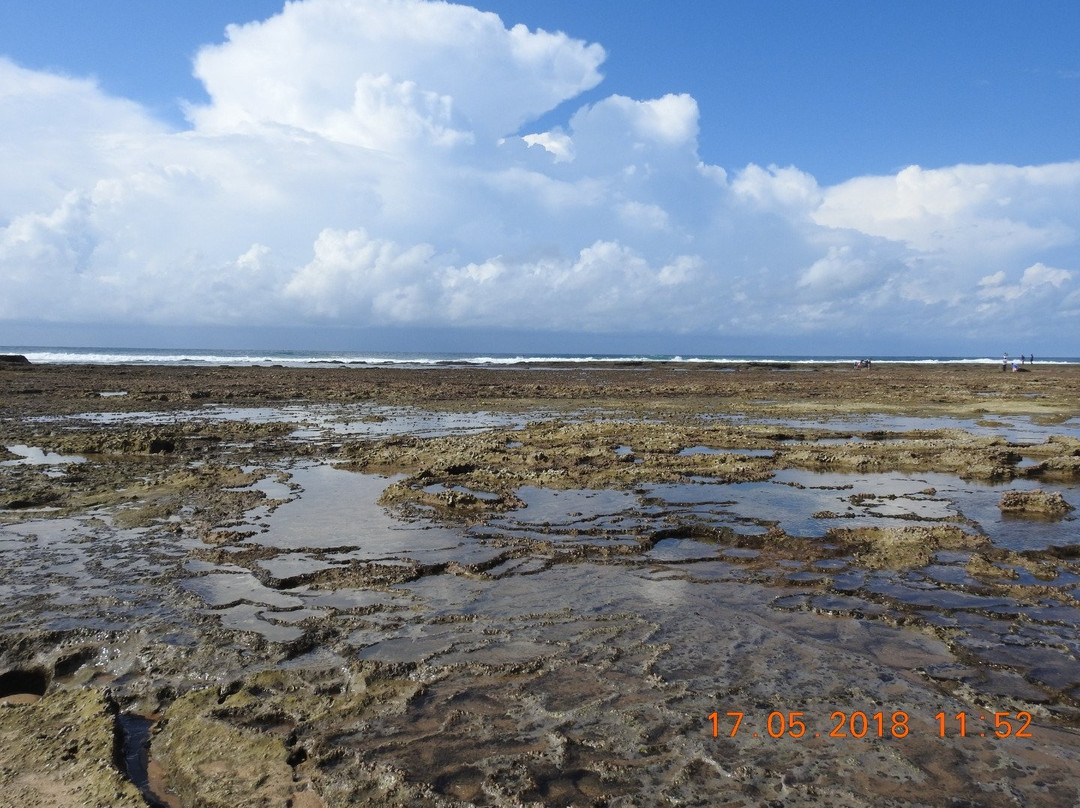 Sodwana Bay Lodge主图