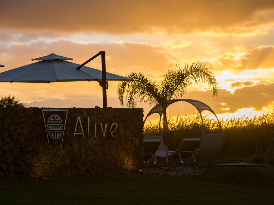 Alive Health Spa Resort主图