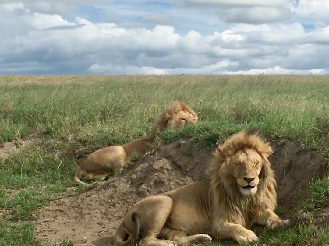 Bencia Africa-恩戈罗恩戈罗保护区必去景点