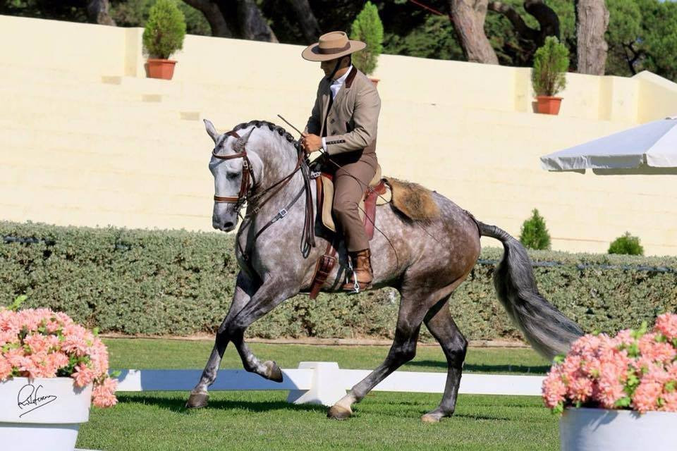 Lusitanos Riding Centre景点图片