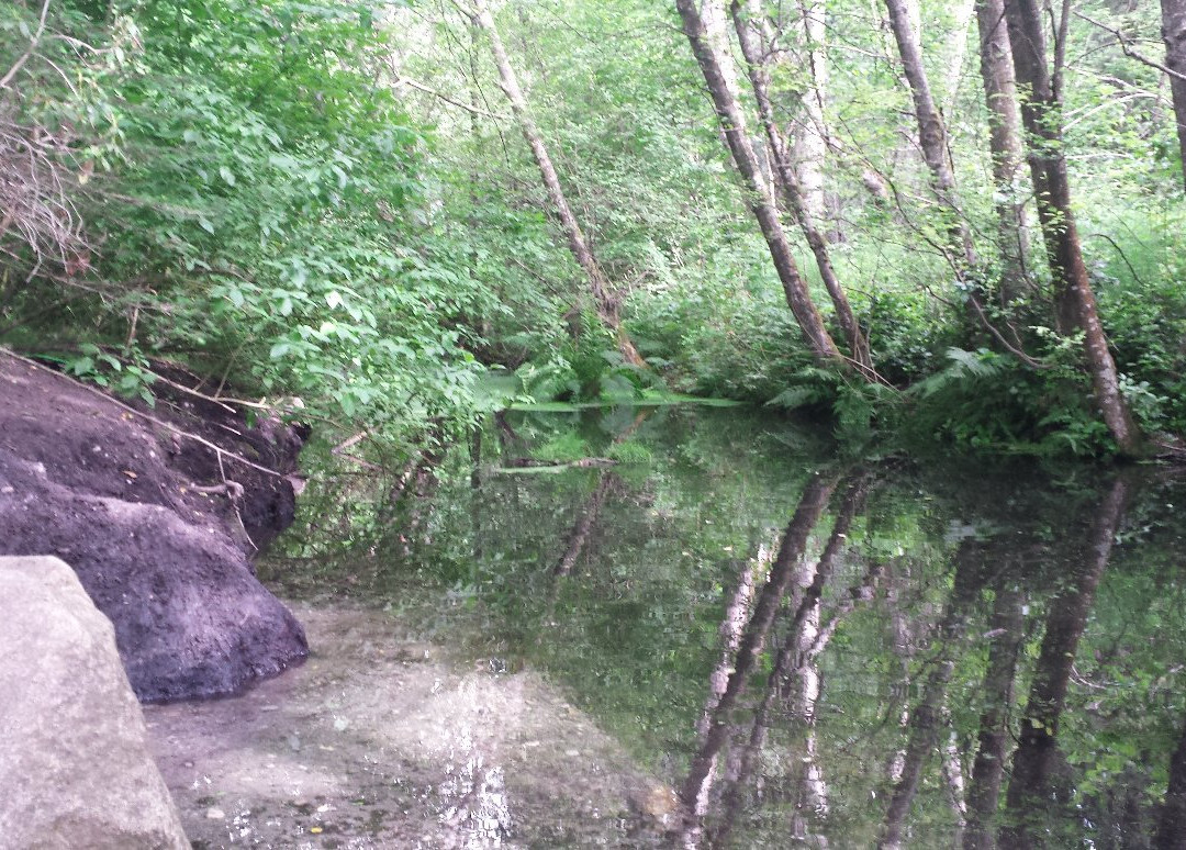 Watershed Park景点图片