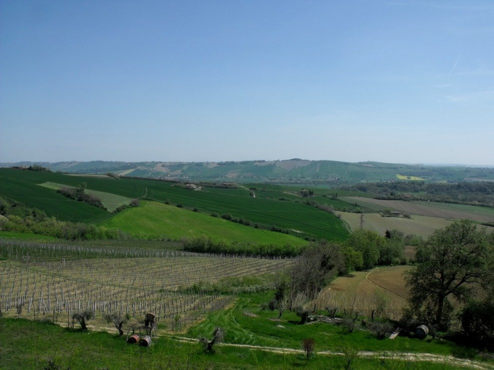 Castello di Sant'Andrea di Suasa景点图片