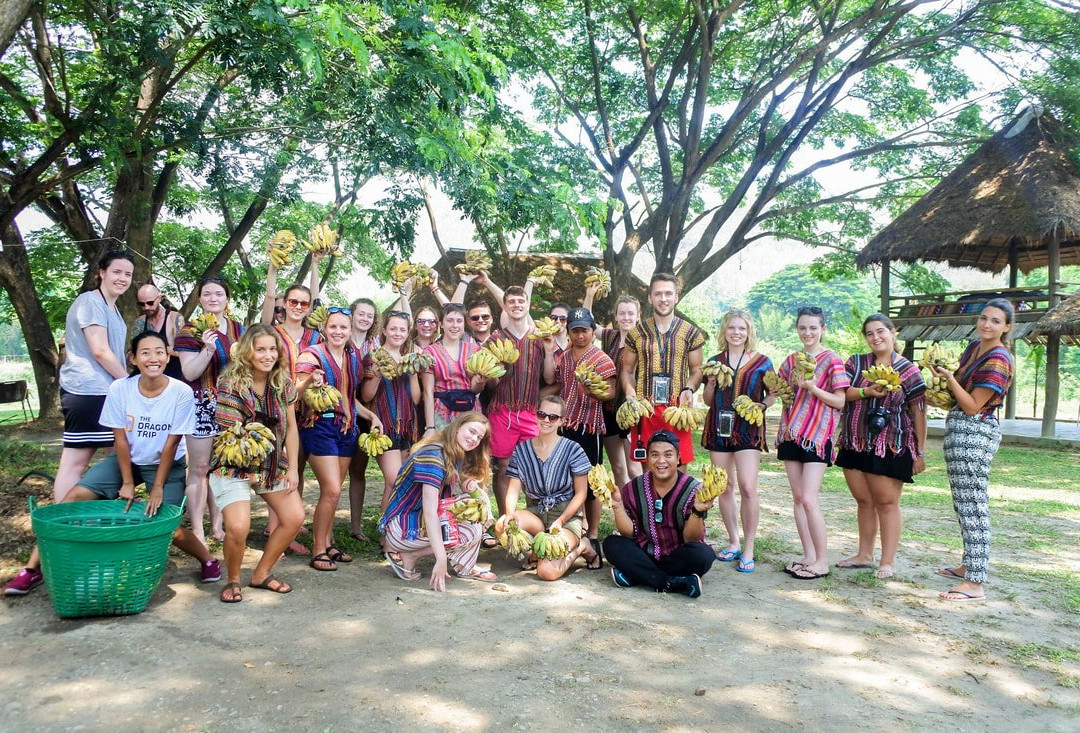 Inthanon Elephant Sanctuary & Wildlife Preserve-清迈必去景点