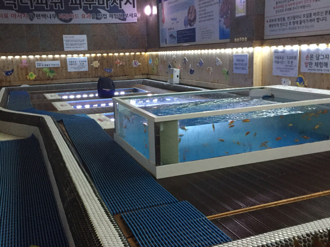 Spavis-牙山市必去景点