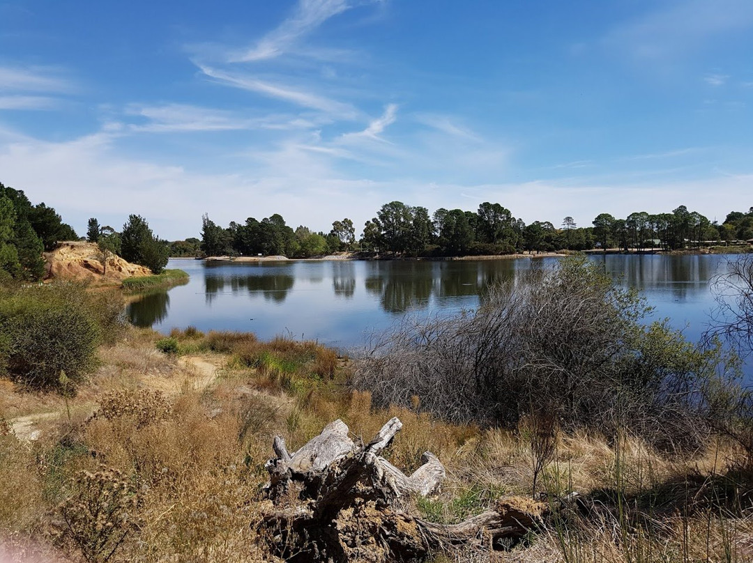 Lake Sambell Reserve景点图片