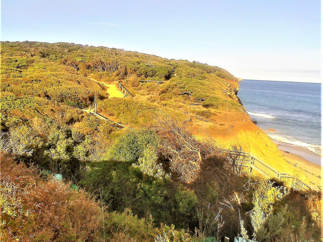 Sandy Gully Beach景点图片