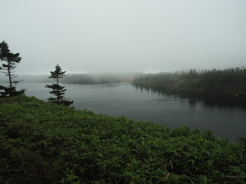 Hachiman Swamp-八幡平市必去景点
