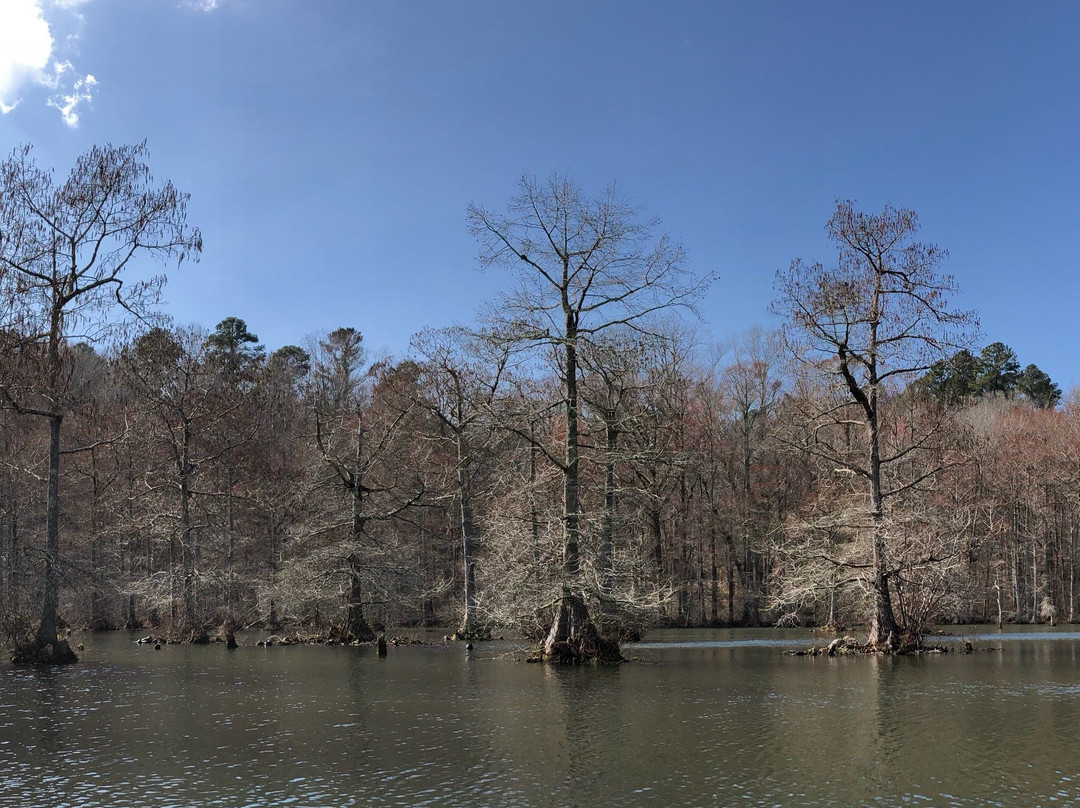 Wall Doxey State Park景点图片