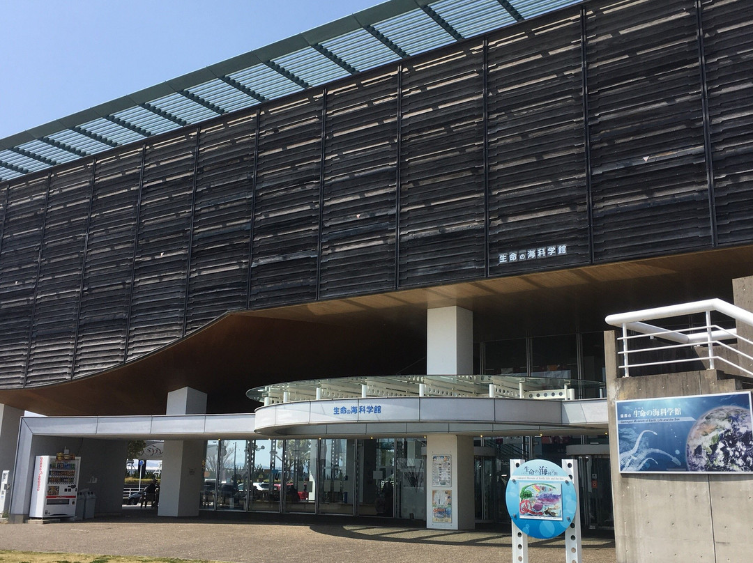 Gamagori Museum of Earth-蒲郡港必去景点