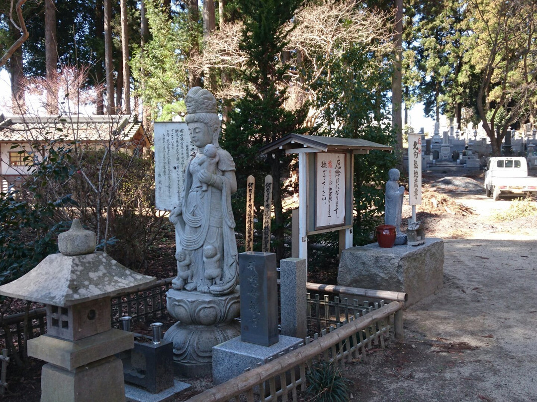 Tokuzoji Temple - Tokuzo Taishi景点图片