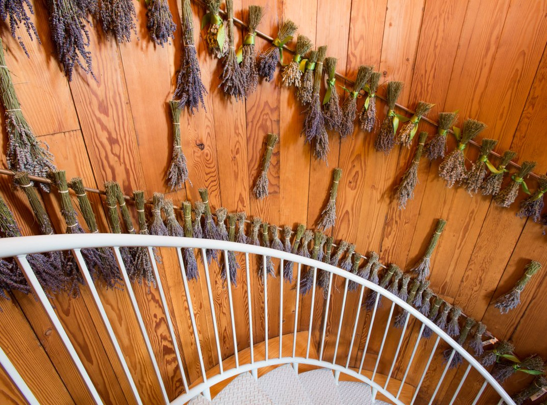 Durant at Red Ridge Farms主图