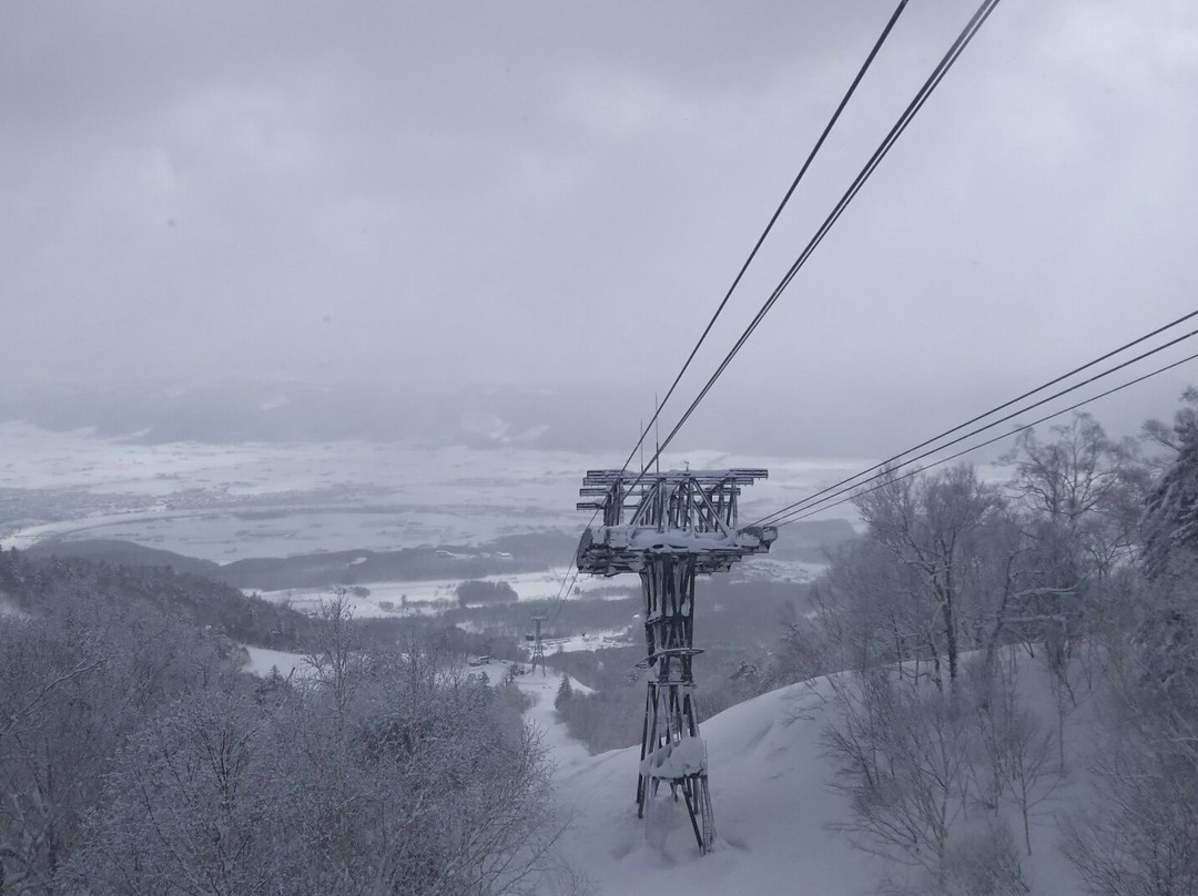 Furano Ropeway-富良野市必去景点