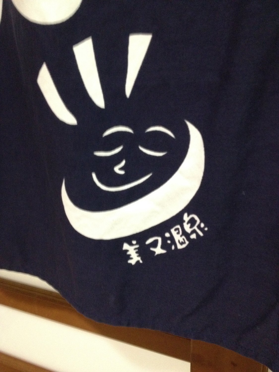 Mimataonsen Kokumin Hoyo Center-官方