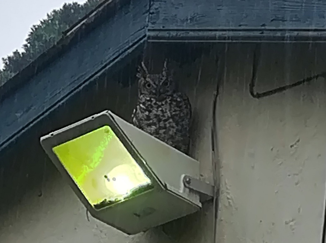 Chase Guest House主图