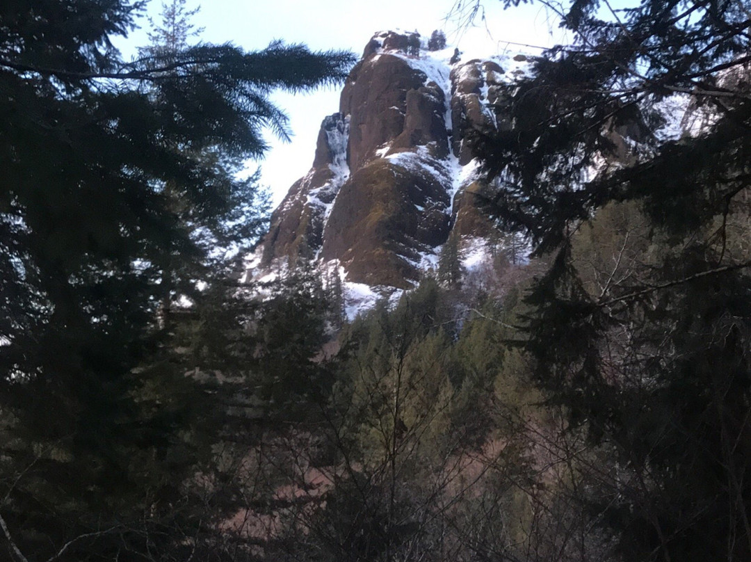 Saddle Mountain State Natural Area-锡赛德必去景点