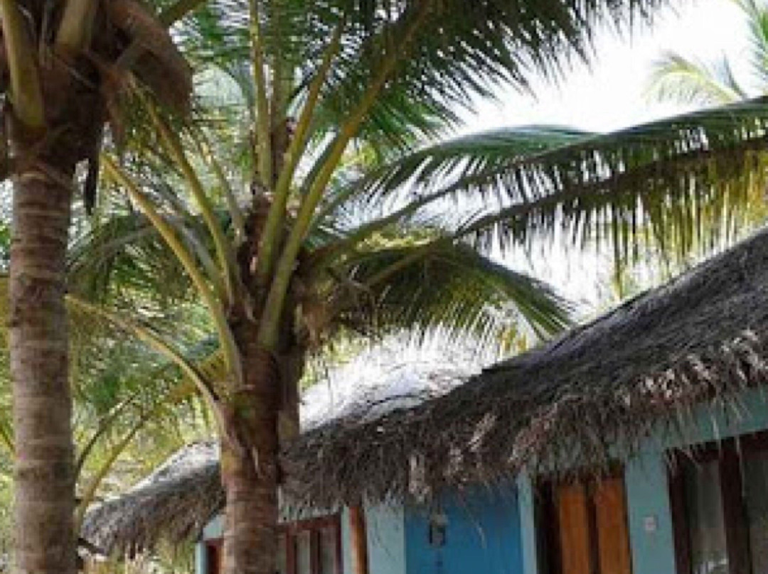 Coral Paradise Beach Resort主图