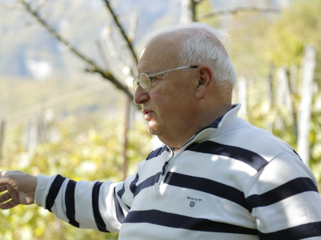 Vakhtang Aslanikashvili Winery-Oqureshi必去景点