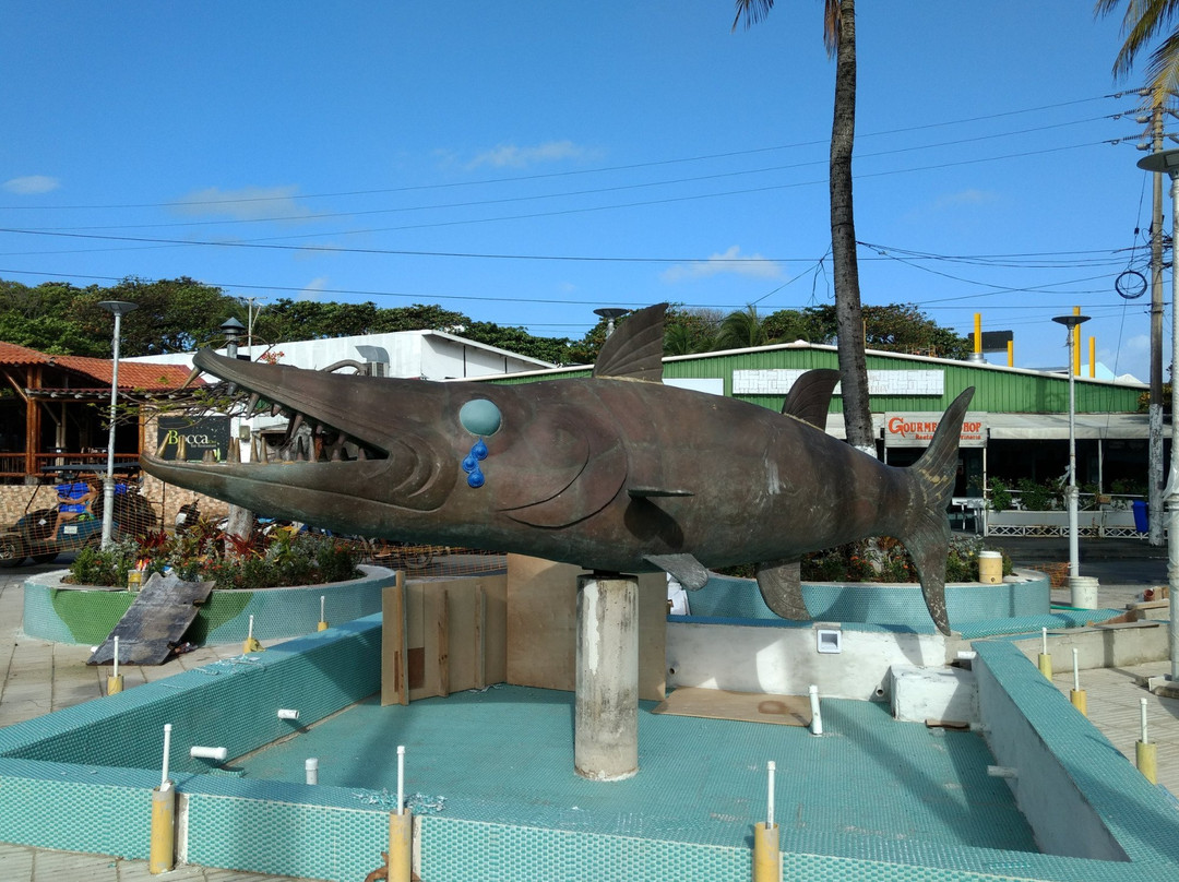 La Barracuda-圣安德烈斯岛必去景点