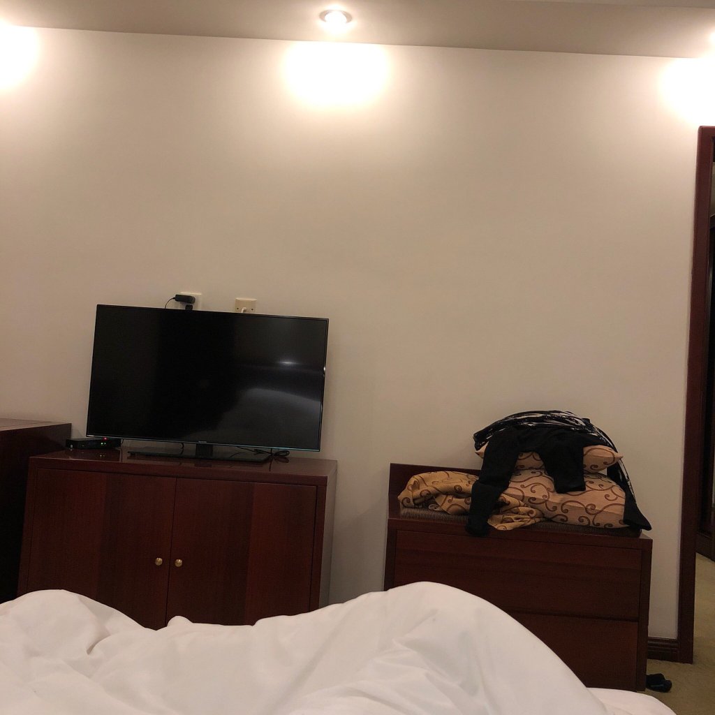 九华山中心大酒店-官方