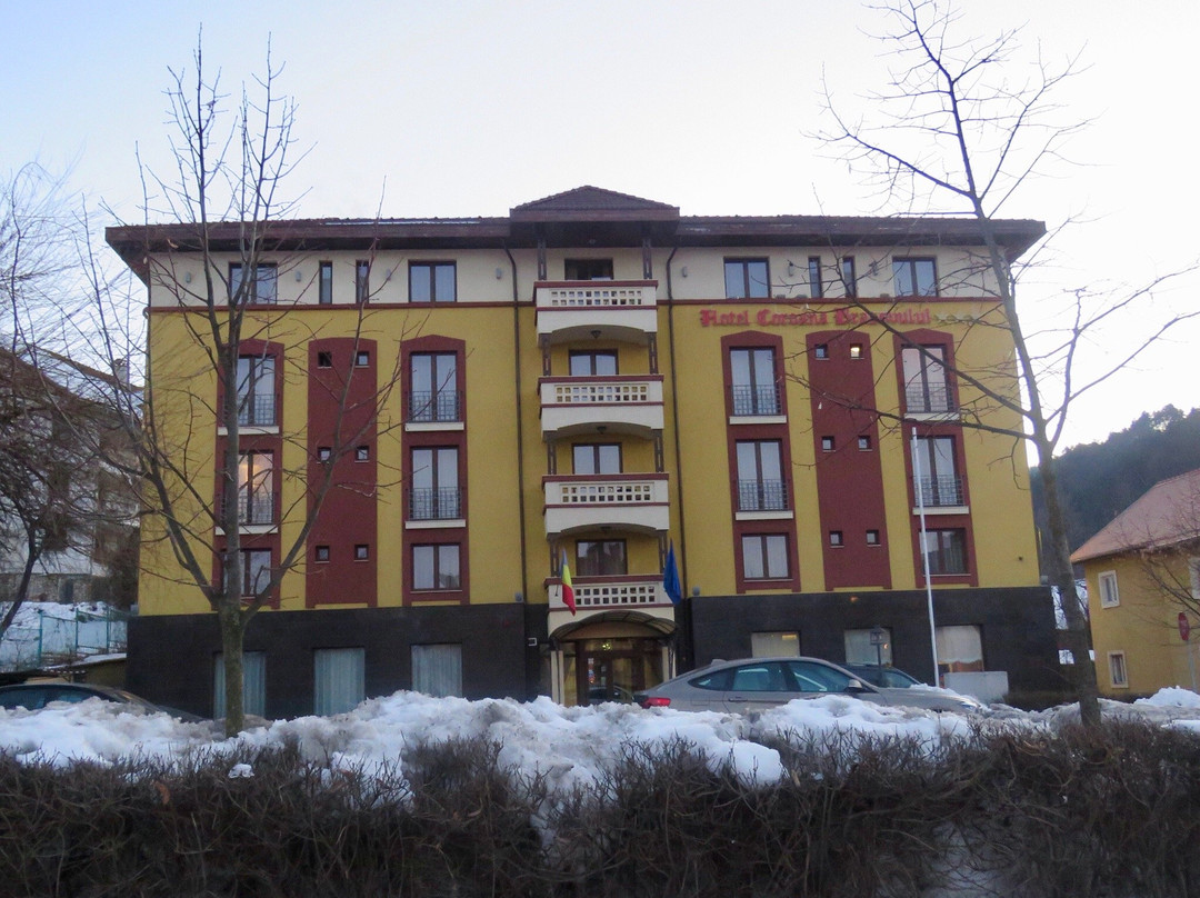 Hotel Coroana Brasovului主图