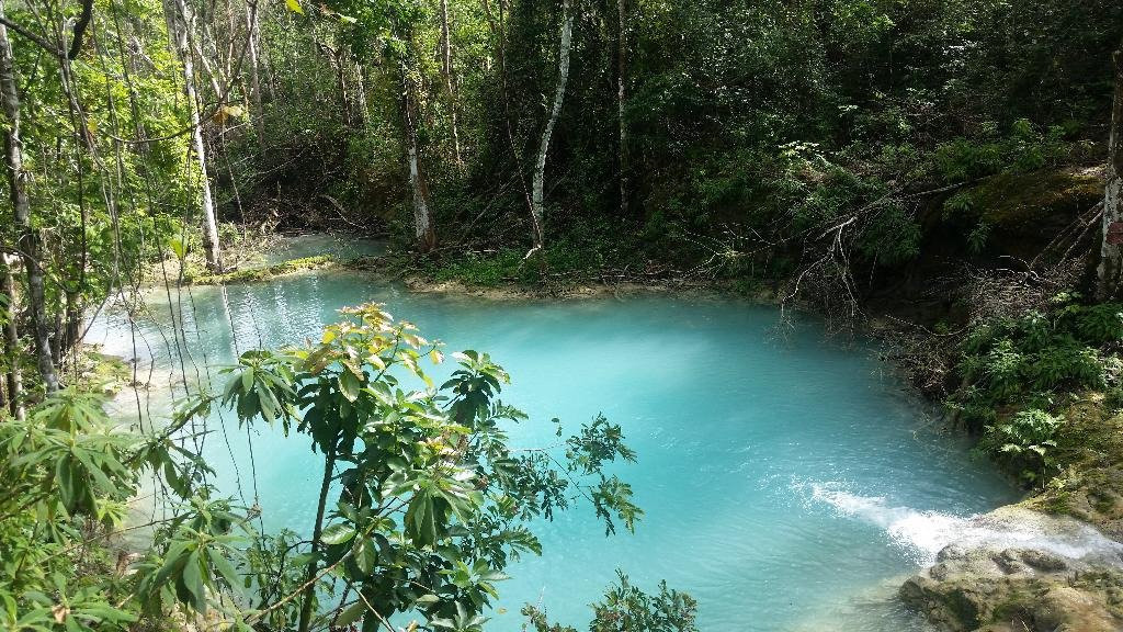Parque Natural Rancho Querete景点图片