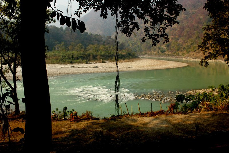 Banyan by the Ganges主图