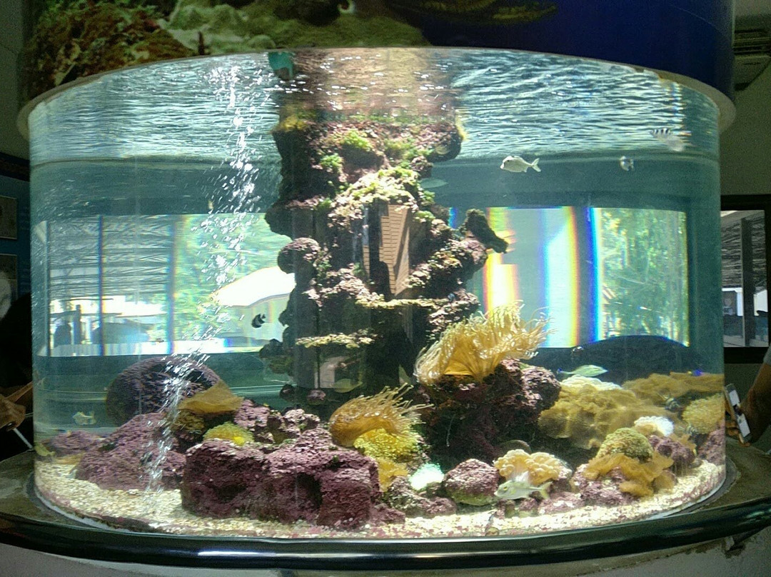 Kung Kraben Aquarium景点图片