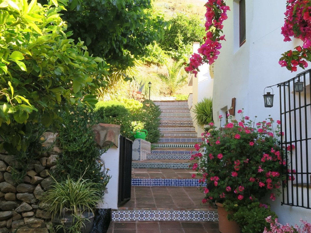 Molino de Las Tablas主图