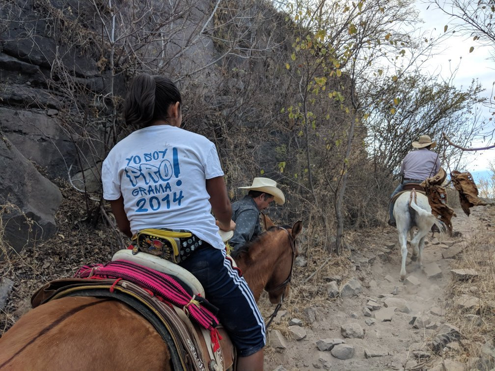 Barranca de Oblatos景点图片