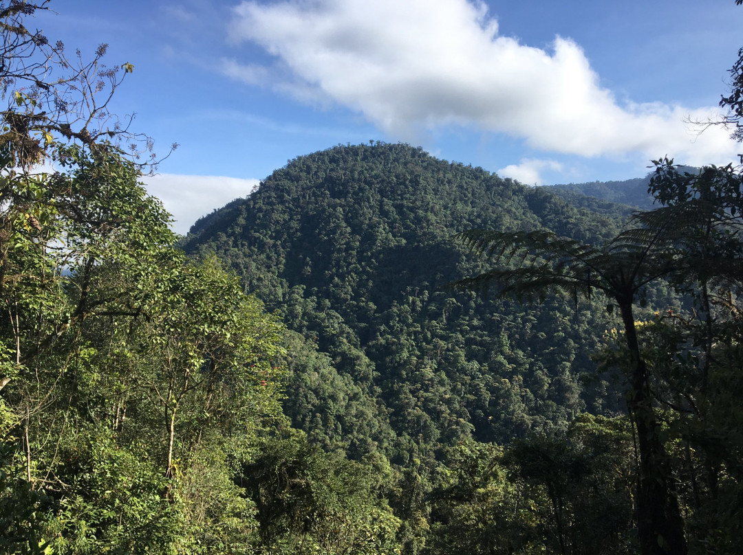 Mindo Nambillo Cloud Forest Reserve景点图片