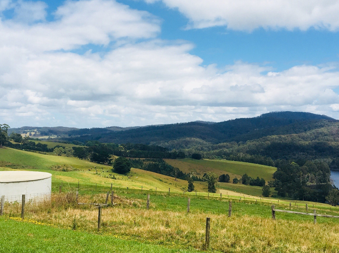 Little Charli's Lookout-Neerim South必去景点